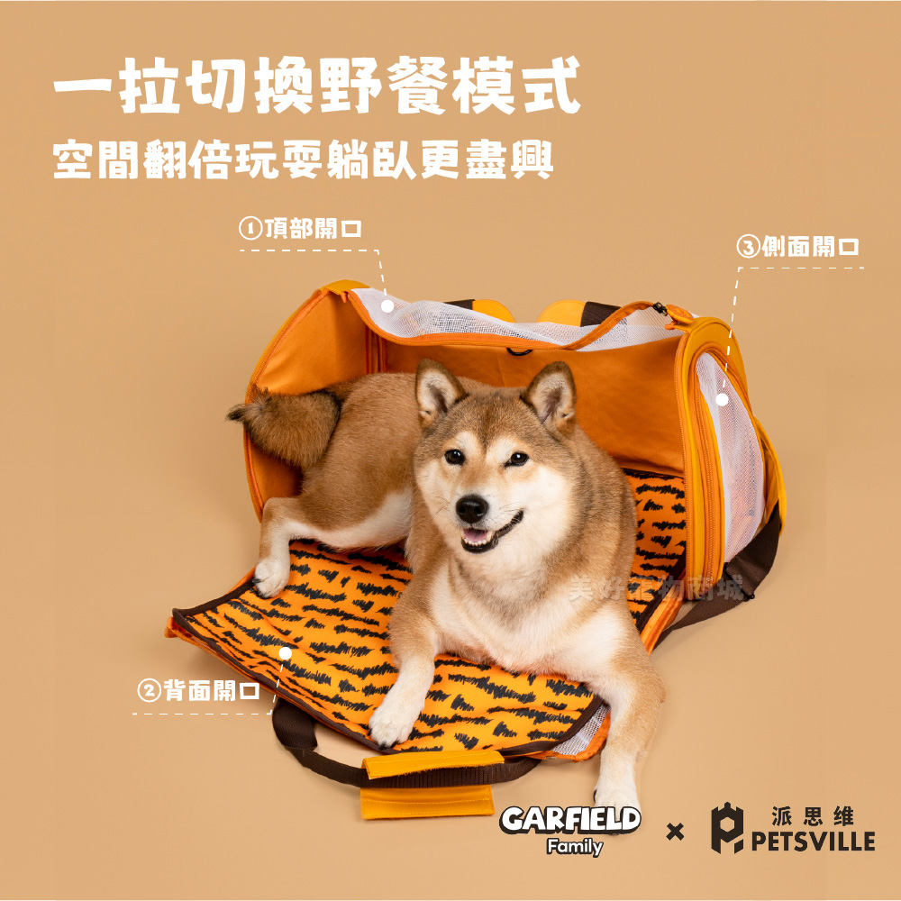 shoe image